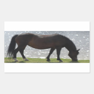 New Forest Pony Weideland an einem sonnigen See Rechteckiger Aufkleber
