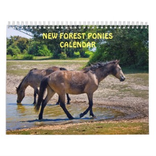 New Forest Ponys Kalender