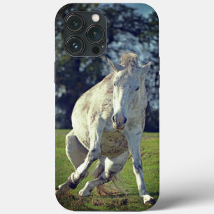 New Forest White Pony Funny Pose Case-Mate iPhone Hülle