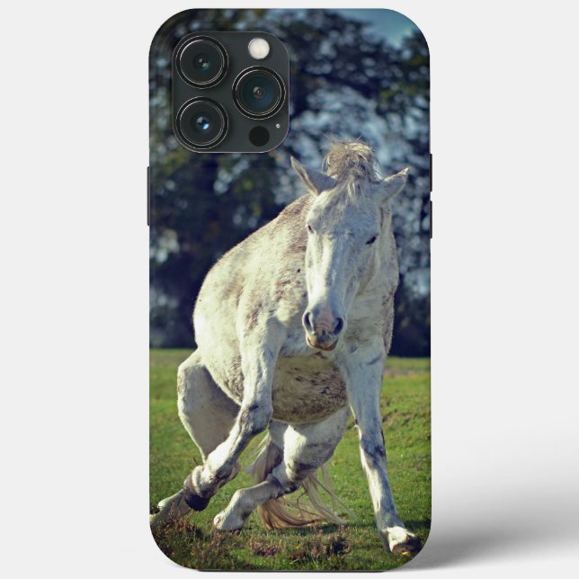 New Forest White Pony Funny Pose Case-Mate iPhone Hülle (Rückseite)