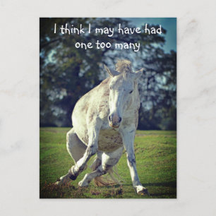 New Forest White Pony Funny Pose Postkarte