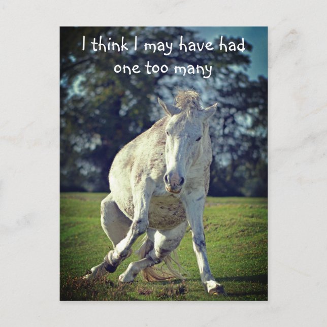New Forest White Pony Funny Pose Postkarte (Vorderseite)