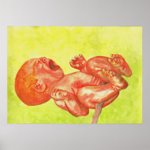 New Geboren Baby Wailer Poster