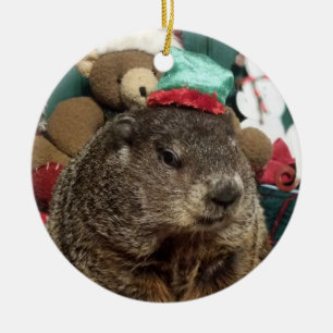 NEW! Groundhog Moses Christmas Ornament