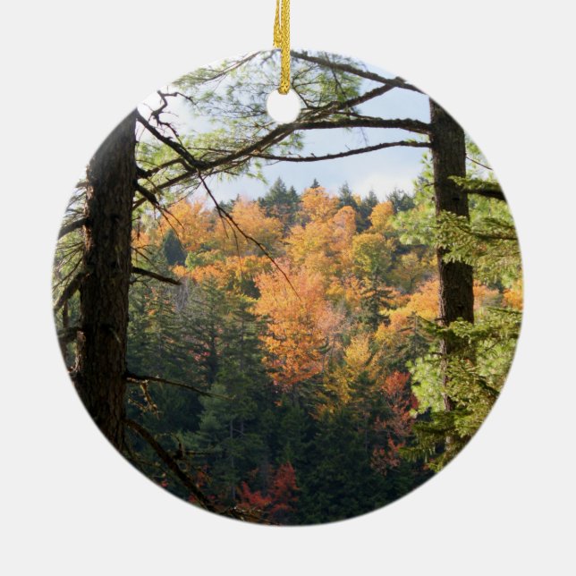 New Hampshire 7729 Ornament (Hinten)