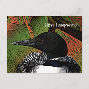 New Hampshire Common Loon Postkarte