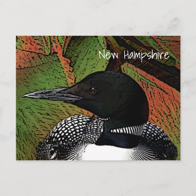 New Hampshire Common Loon Postkarte (Vorderseite)