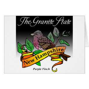 New Hampshire der Granit-Staat mit Vogel