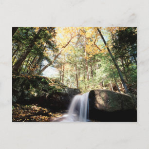 New Hampshire, Ein Wasserfall im White Postkarte
