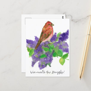 New Hampshire Finch Lilac Postkarte