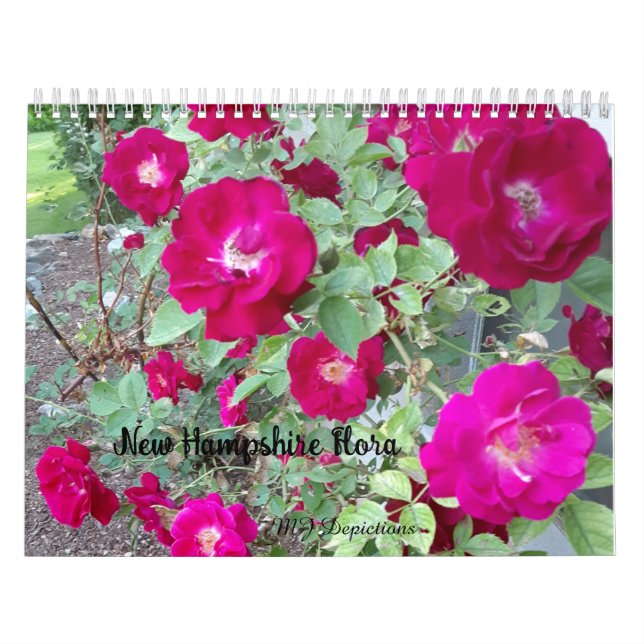 New Hampshire Flora Calendar Kalender (Titelbild)