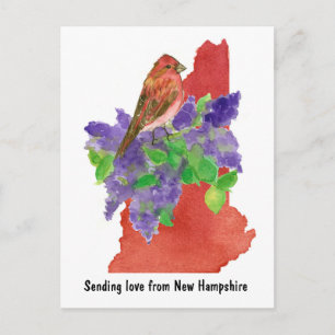 New Hampshire Liebe Purpurfink Flieder Staatssymbo Postkarte