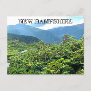New Hampshire Postcard Postkarte