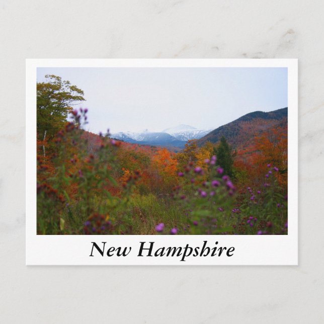 New Hampshire Postkarte (Vorderseite)