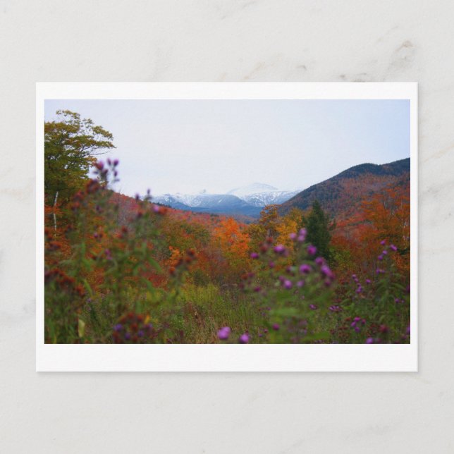New Hampshire Postkarte (Vorderseite)