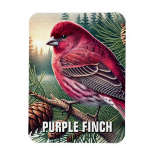 New Hampshire Staat Bird Lila Finish Magnet