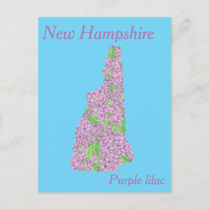 New Hampshire Staat Blume Collage Map Postkarte
