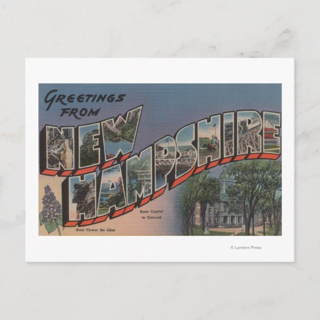 New Hampshire (Staat Hauptstadt/Blume) Postkarte (Vorderseite)
