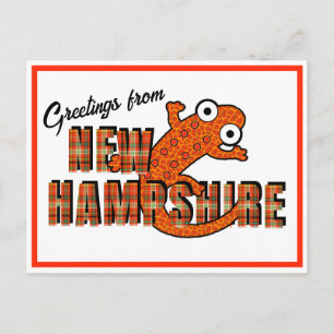 New Hampshire State Symbol Rot gefleckter Wassermo Postkarte