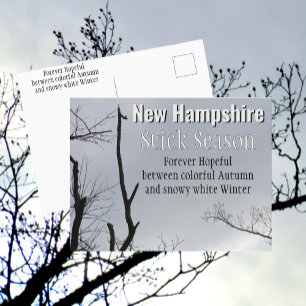 New Hampshire Stick Season Neuengland-Foto Postkarte