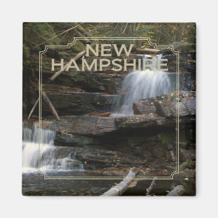 New Hampshire USA Staat Souvenir Kühlschrankmagnet Magnet