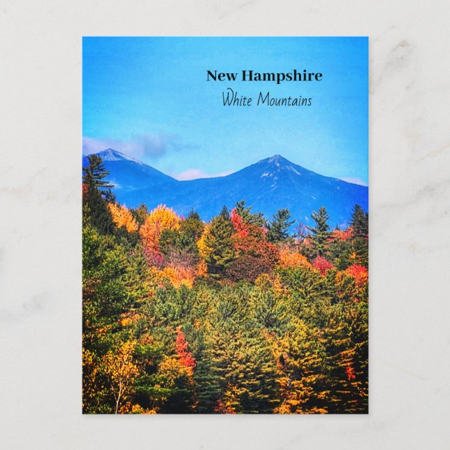 New Hampshire White Berge Postkarte (Vorderseite)
