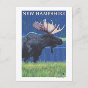 New HampshireElche im Mondschein Postkarte