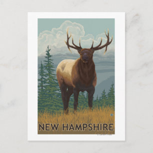 New HampshireElk Scene Postkarte
