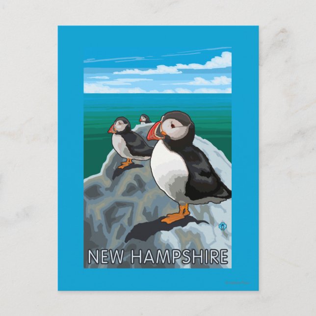 New HampshirePuffins Scene Postkarte (Vorderseite)
