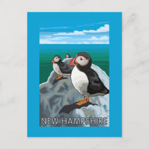 New HampshirePuffins Scene Postkarte