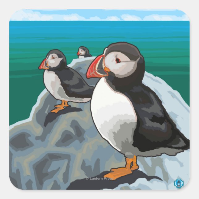 New HampshirePuffins Scene Quadratischer Aufkleber (Vorderseite)