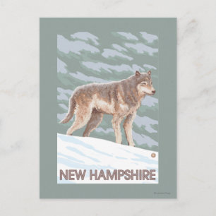 New HampshireWolf Scene Postkarte