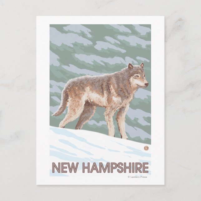 New HampshireWolf Scene Postkarte (Vorderseite)