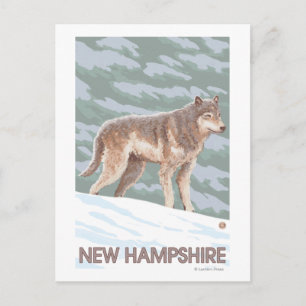 New HampshireWolf Scene Postkarte