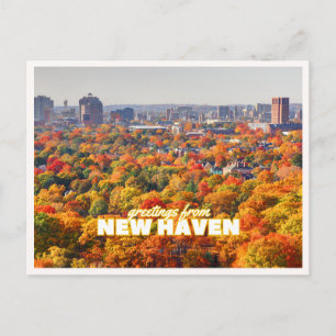 New Haven Connecticut Herbstlaub-Gruß Postkarte