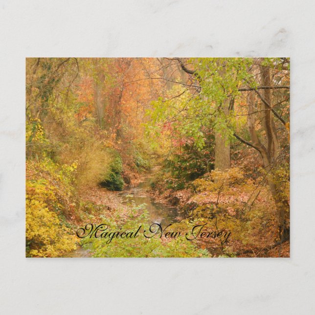 New Jersey im Herbst Postkarte (Vorderseite)