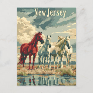 New Jersey Pferde Postkarte