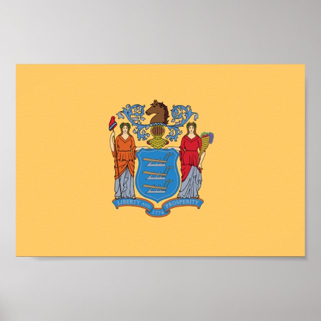 New Jersey State Flag Poster (Vorne)