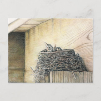 New Life Under Deck Robinson New Orleans Club Postkarte