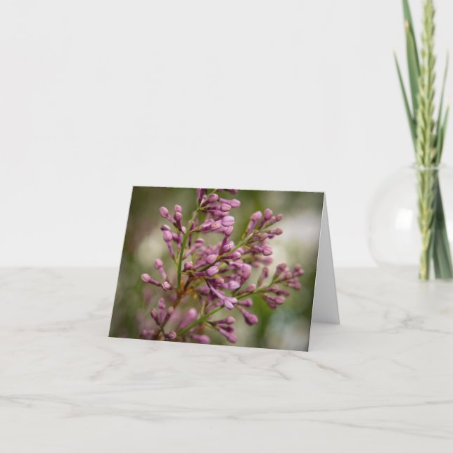 New Mexico Garden Dankeskarte (Vorderseite)