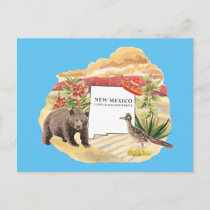 New Mexico Land der Verzauberung Souvenir Postkart Postkarte