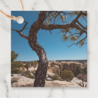 New Mexico Landscape Foto