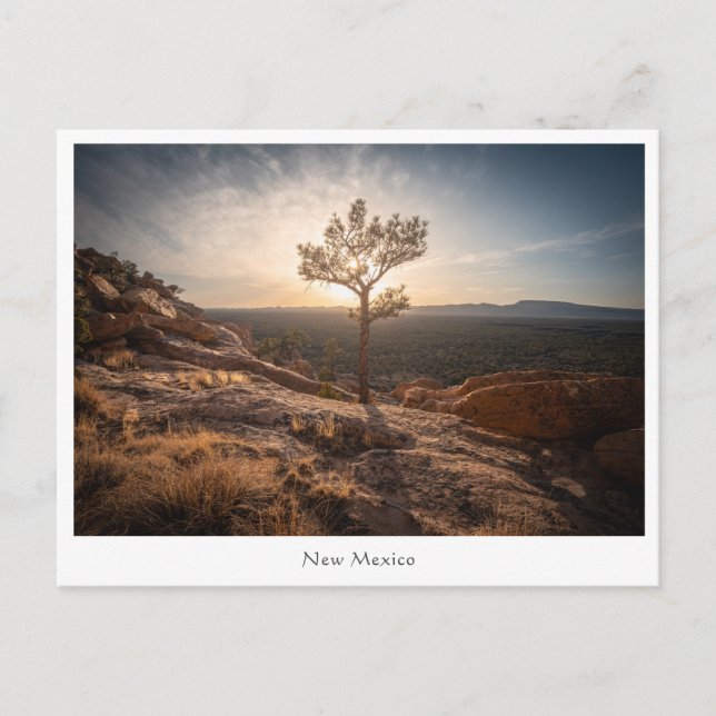 New Mexico Landscape Foto Postkarte (Vorderseite)