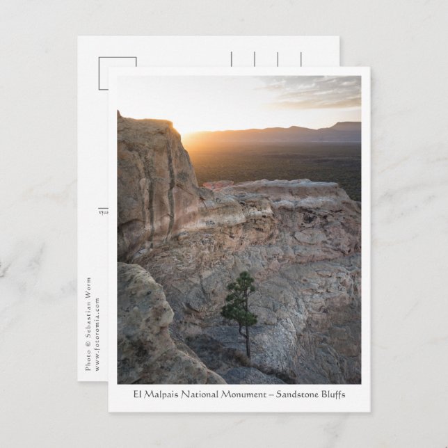 New Mexico Landscape Foto Postkarte (Vorne/Hinten)