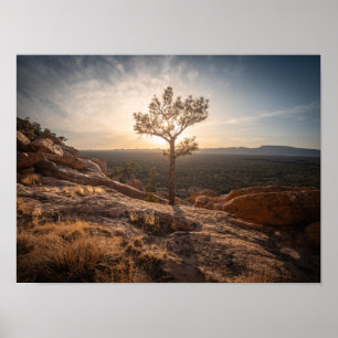 New-Mexico-Landschaftsfoto Poster