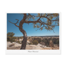 New Mexico Landschaftsfotografie