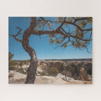New Mexico Landschaftsfotografie