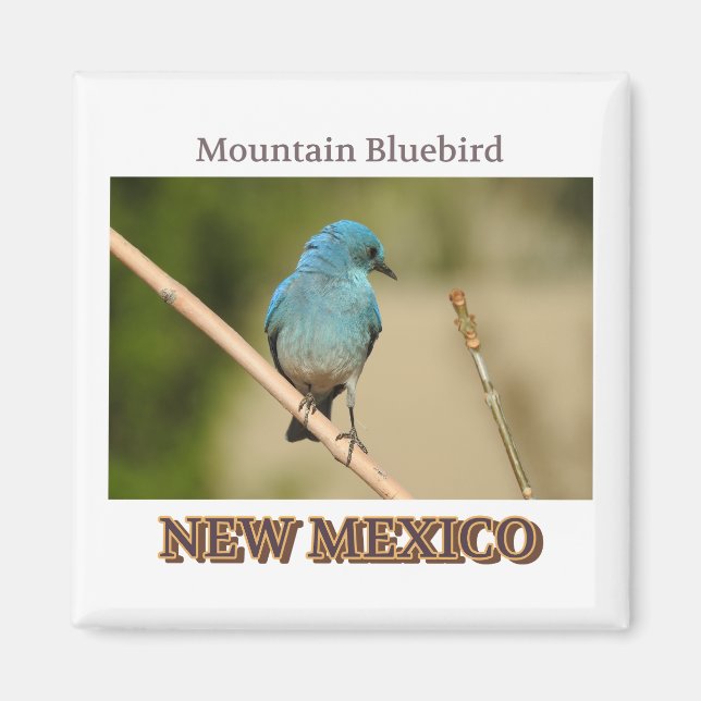 New Mexico Mountain Blue Vogel Foto Magnet (Vorne)