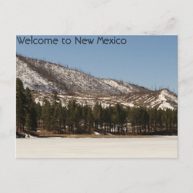 New Mexico Postcard Postkarte (Vorderseite)