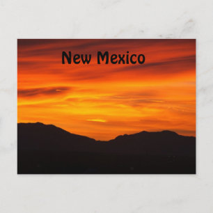 New Mexico Postcard Postkarte